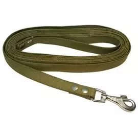 Поводок Zooexpress брезентовый зеленый для собак (25 мм х 3 м, Зеленый)