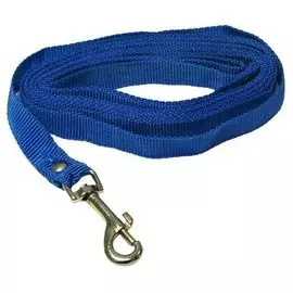 Поводок Zooexpress капроновый узкий синий для собак (15 мм х 2,5 м, Синий)