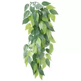 Растение для террариума Trixie Ficus (20x30)