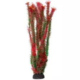 Растение Laguna Амбулия красная для акариумов (50 см)