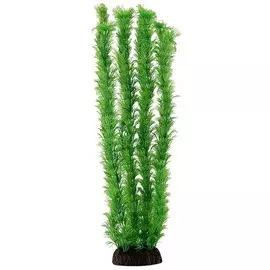 Растение Laguna Амбулия зеленая для акариумов (40 см)
