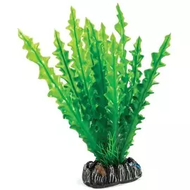 Растение Laguna Апоногетон для акариумов (20 см)