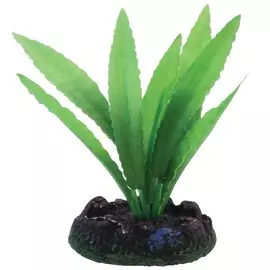 Растение Laguna Апоногетон шелковое для акариумов (20 см)