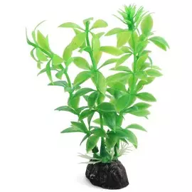 Растение Laguna Гемиантус зеленый для акариумов (10 см)