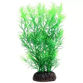 Растение Laguna Гетерантера зеленая для акариумов (20 см)