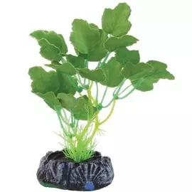 Растение Laguna Гидрокотила шелковое для акариумов (13 см)