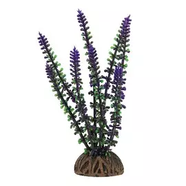 Растение Laguna Эрика зеленая для акариумов (15 см)