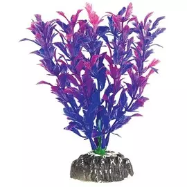 Растение Laguna Людвигия фиолетовая для акариумов (10 см)