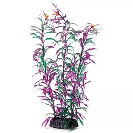 Растение Laguna Людвигия красно-зеленая для акариумов (30 см)