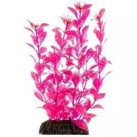 Растение Laguna Людвигия розовая для акариумов (30 см)
