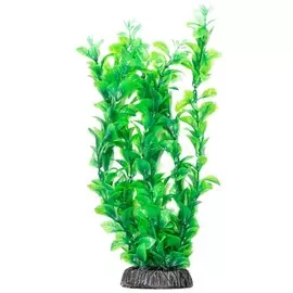 Растение Laguna Людвигия зеленая для акариумов (30 см)