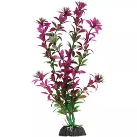 Растение Laguna Ротала сиреневая для акариумов (30 см)