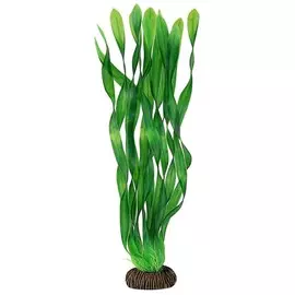 Растение Laguna Валлиснерия зеленая для акариумов (35 см)
