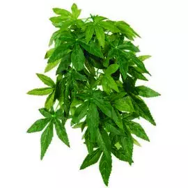 Растение Trixie Abutilon для террариума (20x30)