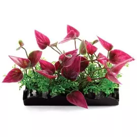 Растения Laguna композиция розовая для акариумов (8 см)