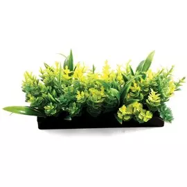 Растения Laguna композиция желтая для акариумов (5 см)
