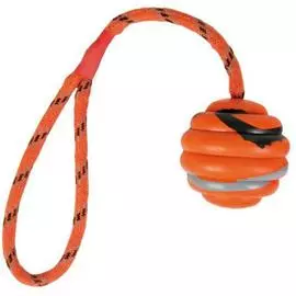Резиновый мяч на веревке для собак Trixie, оранжевый-черный (30 см, мяч 6 см, Оранжевый/чёрный)