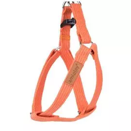 Шлейка Amiplay Cotton регулируемая оранжевая для собак (M: 30-55 (c ,d) см x 2 см, Оранжевый)