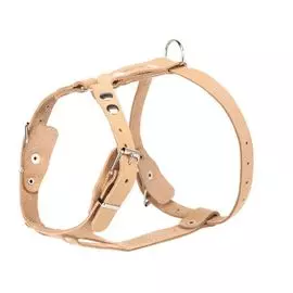 Шлейка Аркон для собак породы французкий бульдог, кокер (45 - 64 см х 2 см)