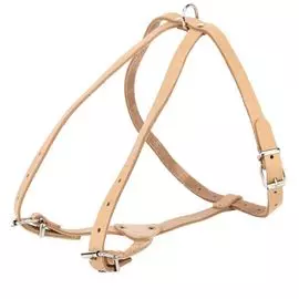 Шлейка Аркон для собак породы пекинес, болонка (35 - 57 см х 1,3 см)