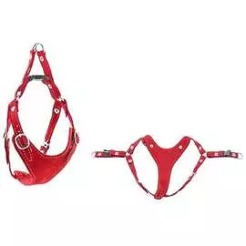 Шлейка Дарэлл Ева замша быстросъемная (20-28 см, 30-40 см, Красный)