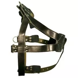 Шлейка Zooexpress кожа+брезент черная для собак (36 мм х 115 см, Черный)