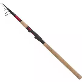 Спиннинг Shimano Catana Ex Telespin 3 м (20-50 г, Extra fast)