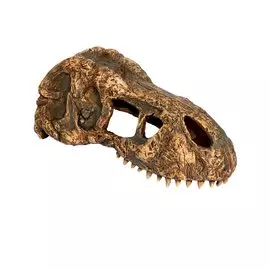 Убежище-декор Exo Terra T-Rex Skull Fossil для террариума (18x9x8 см)