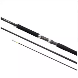 Удилище Shimano Beastmaster CX Innerguide XH 2,2 м (Быстрый (Fast), 7-28 г)