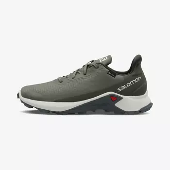 Salomon Alphacross 3 GTX, Зеленый, размер 39