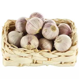 Чеснок Соло свежий в корзине 250 г