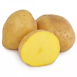 Картофель белый молодой мытый 1 кг