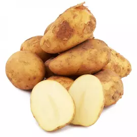 Картофель Россия 1 кг