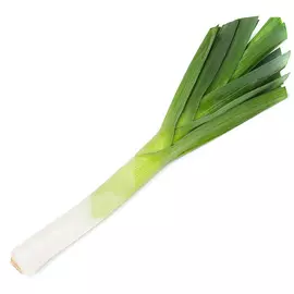 Лук порей 0.3-0.8 кг