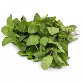 Мята 50 г