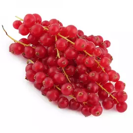 Смородина красная 125 г