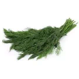 Укроп свежий 100 г