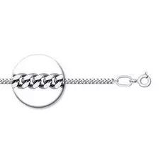 Серебряная цепь