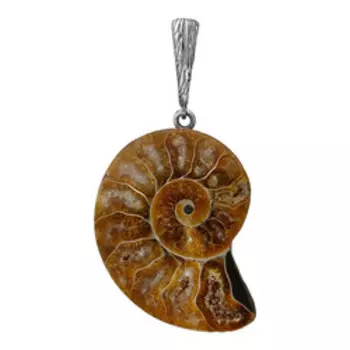 Серебряная подвеска с аммонитом