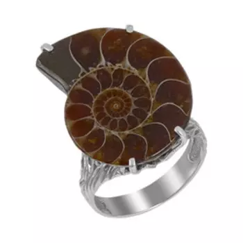 Серебряное кольцо с аммонитом
