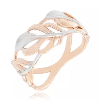 Золотое кольцо