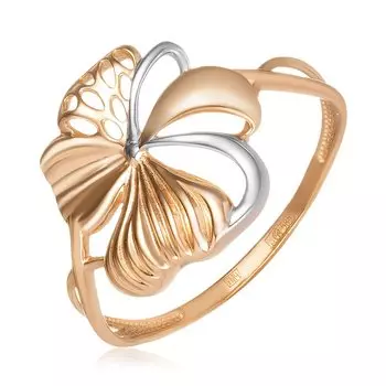 Золотое кольцо