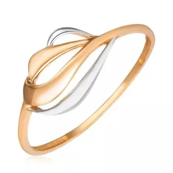 Золотое кольцо