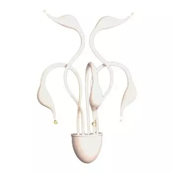 Бра Lumina Deco Magica LDW 6028-5 WT