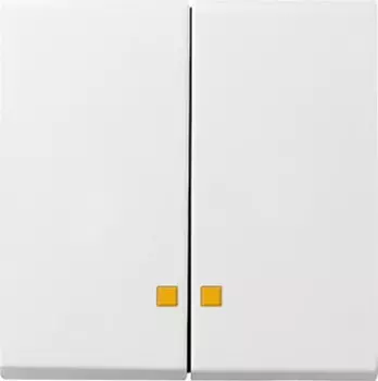 Лицевая панель Gira System 55 выключателя двухклавишного с подсветкой чисто-белый глянцевый 063103