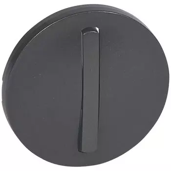 Лицевая панель Legrand Celiane выключателя одноклавишного графит 065201