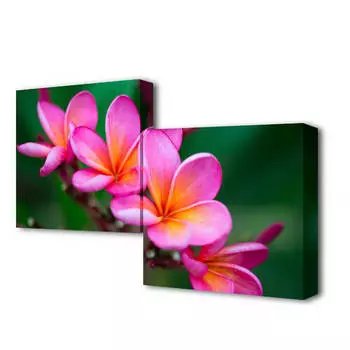 Модульная картина Нежность цветения Toplight 50x100см TL-M2010