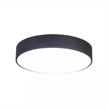 Накладной светодиодный светильник Citilux Тао CL712242N