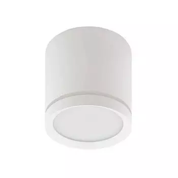 Накладной светодиодный светильник Denkirs DK4013-WH