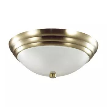 Настенно-потолочный светильник Lumion Vintage Kayla 5262/2C